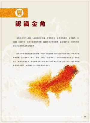 金魚書_005.jpg