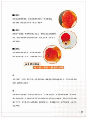 金魚書_007.jpg