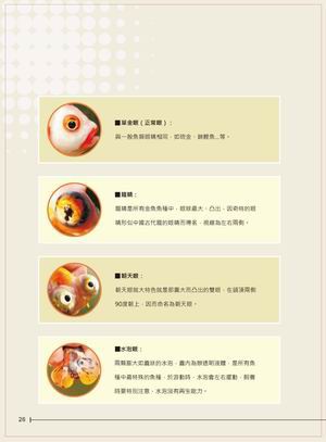 金魚書_008.jpg